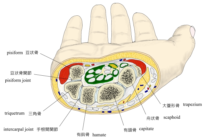 医師の診察を受ける時期